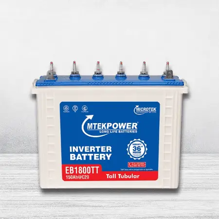 Microtek-Battery2